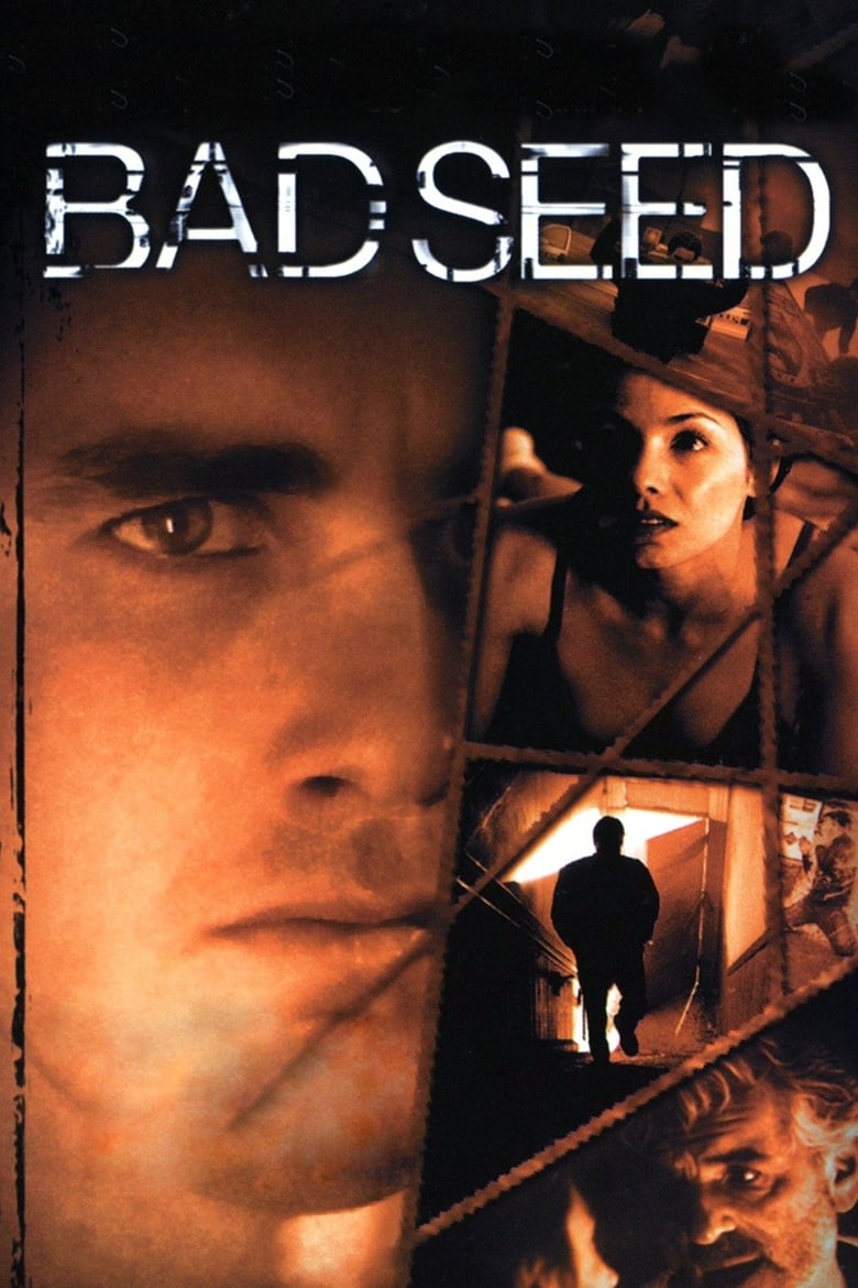 Bad Seed 2000