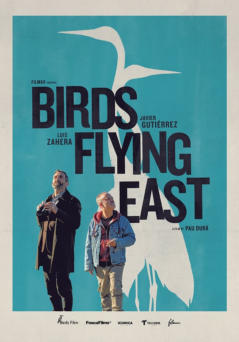 Birds Flying East 2024